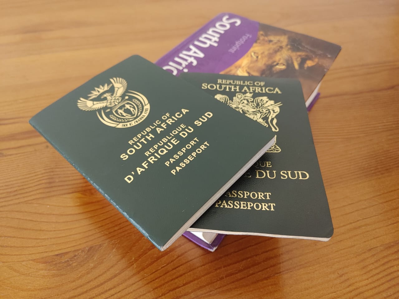 SA passport price to increase from November 2022