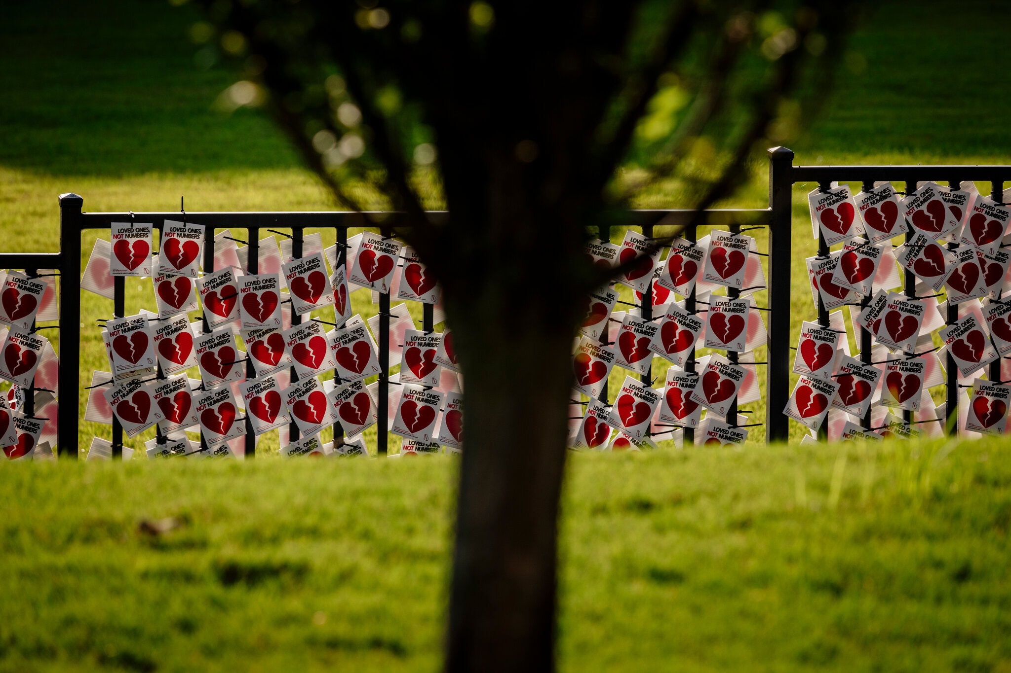 U.S. Deaths Climb Toward Daily Record, but More People Are Surviving Infection